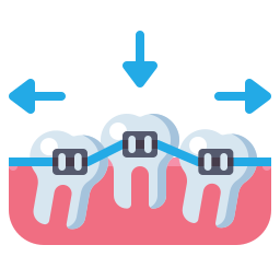 Master of Dental Surgery [MDS] (Orthodontics)